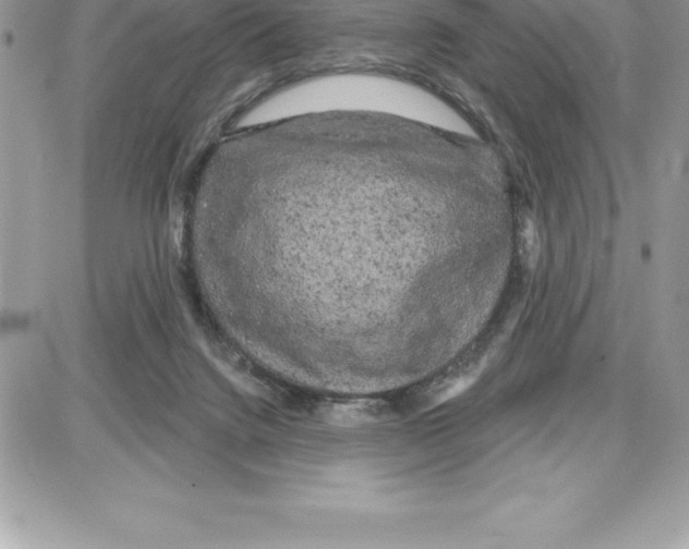 X0000087680072200706011704