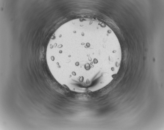 X0000087680073200706011705