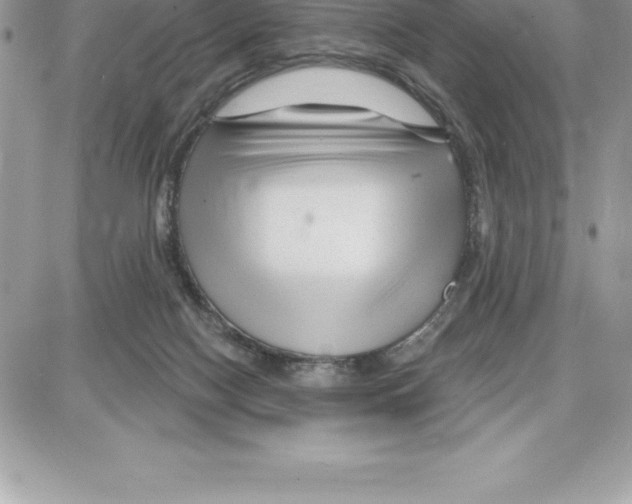 X0000087680074200706011705