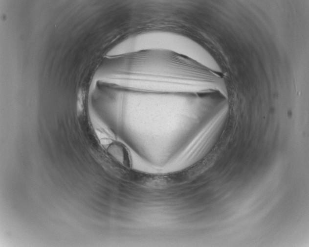 X0000087680075200706011705