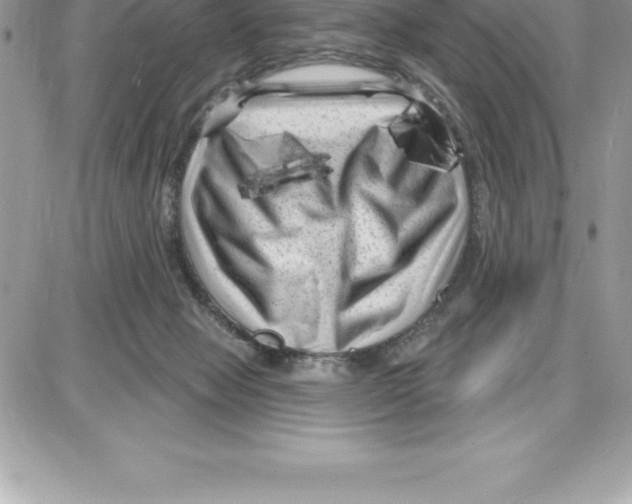 X0000087680077200706011705