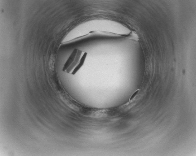 X0000087680078200706011705