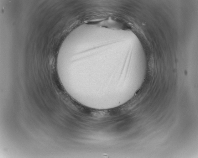 X0000087680079200706011705