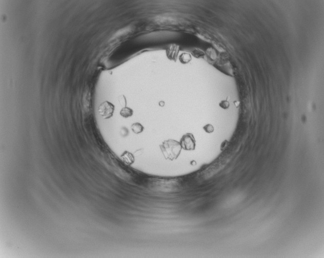 X0000087680081200706011705