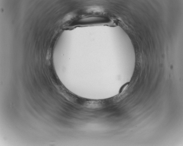 X0000087680082200706011705