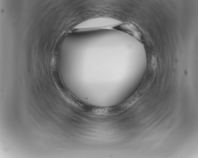 X0000087680084200706011705