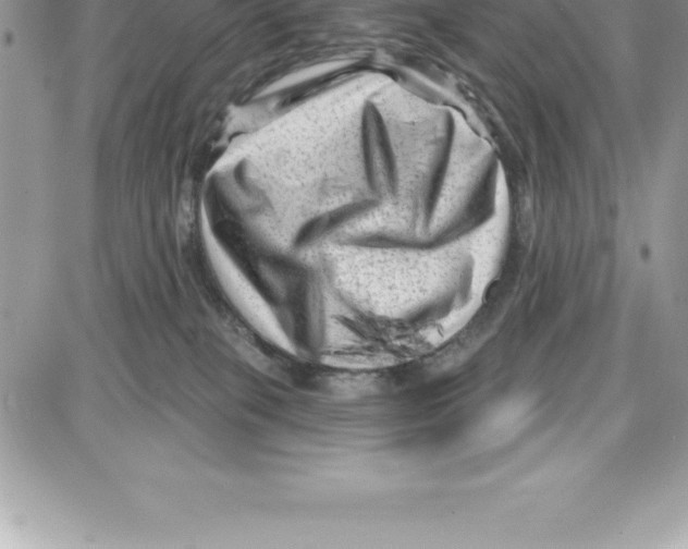 X0000087680085200706011705