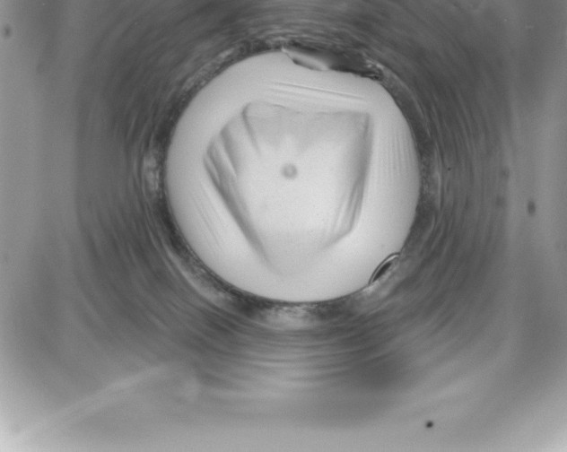 X0000087680086200706011705