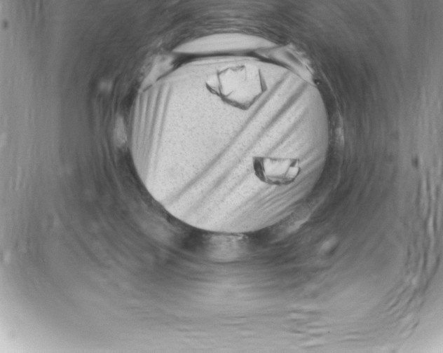 X0000087680089200706011705