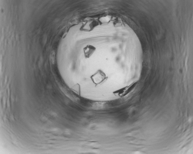 X0000087680090200706011705