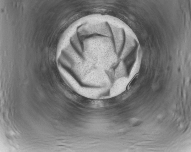 X0000087680091200706011705