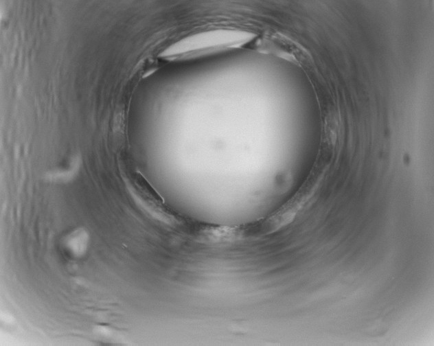 X0000087680092200706011705