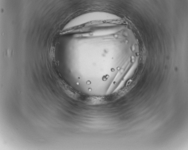 X0000087680093200706011705