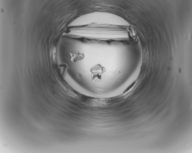 X0000087680094200706011705