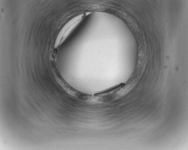 X0000087680096200706011705