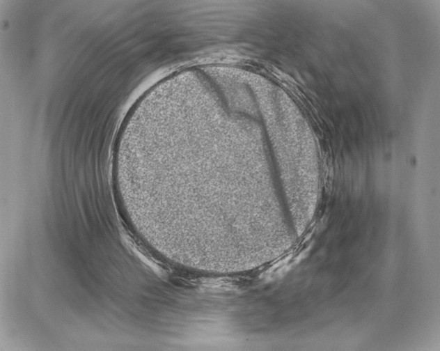 X0000087680100200706011704