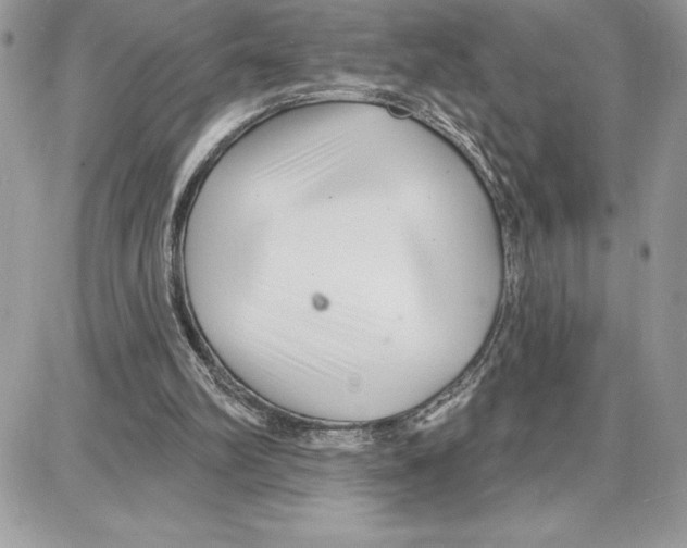 X0000087680102200706011704