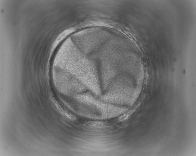 X0000087680104200706011704