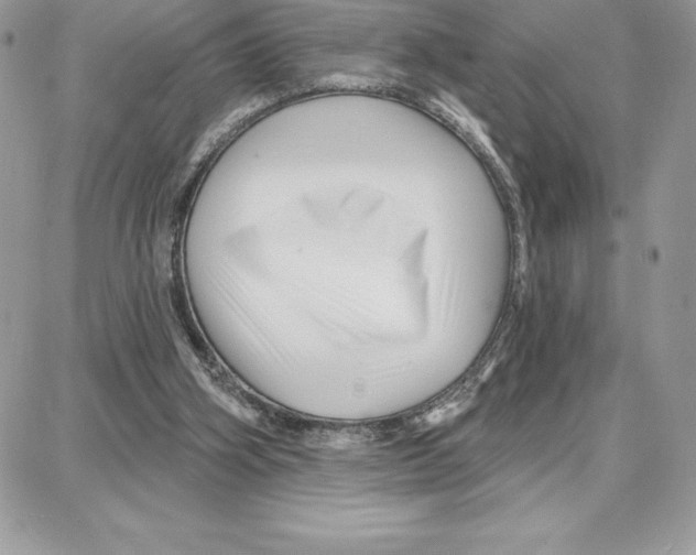 X0000087680106200706011704