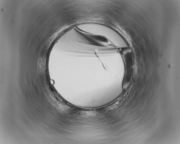 X0000087680107200706011704