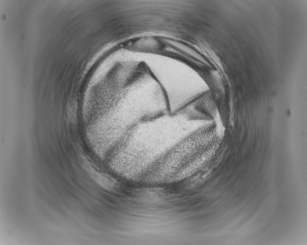 X0000087680108200706011704