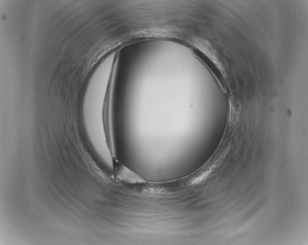 X0000087680109200706011704