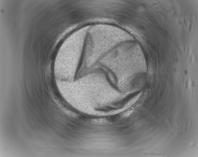 X0000087680112200706011704