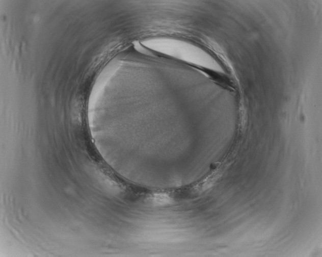 X0000087680114200706011704