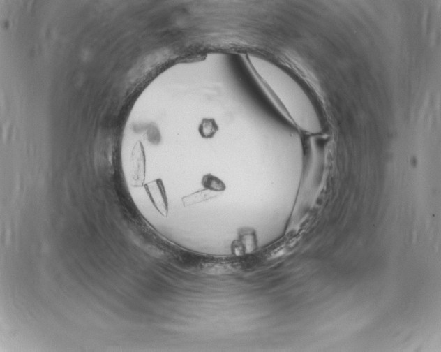 X0000087680115200706011704