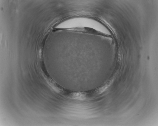 X0000087680117200706011704