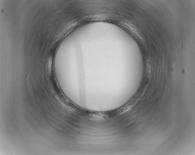 X0000087680118200706011704