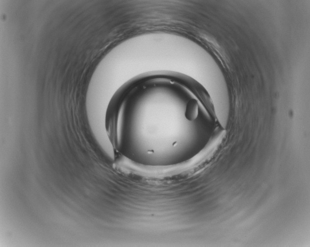 X0000087680121200706011704