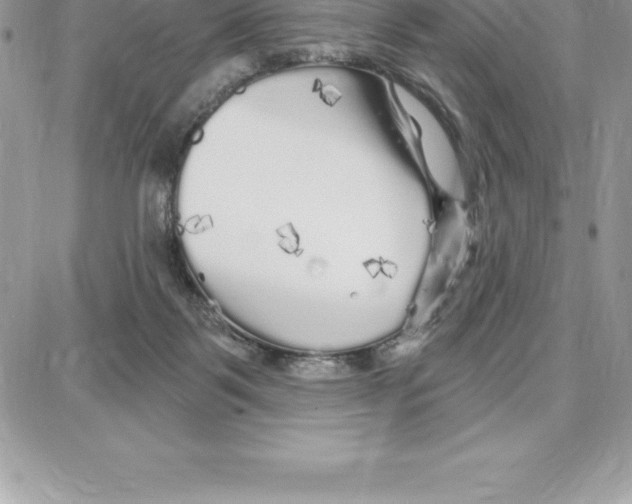 X0000087680123200706011704