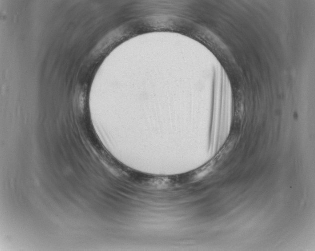 X0000087680124200706011704