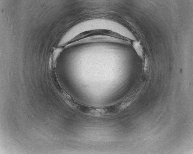 X0000087680125200706011704