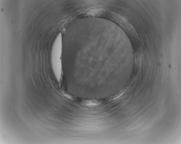 X0000087680127200706011704