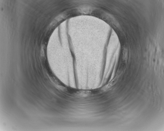 X0000087680128200706011704