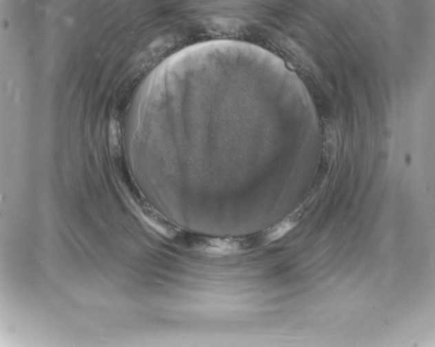 X0000087680130200706011704