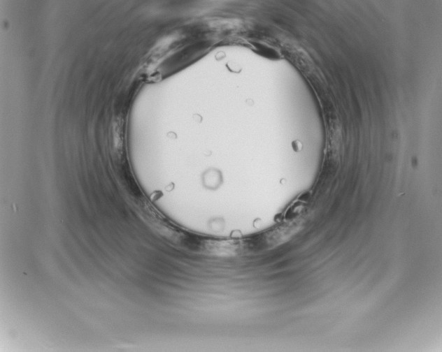 X0000087680131200706011704