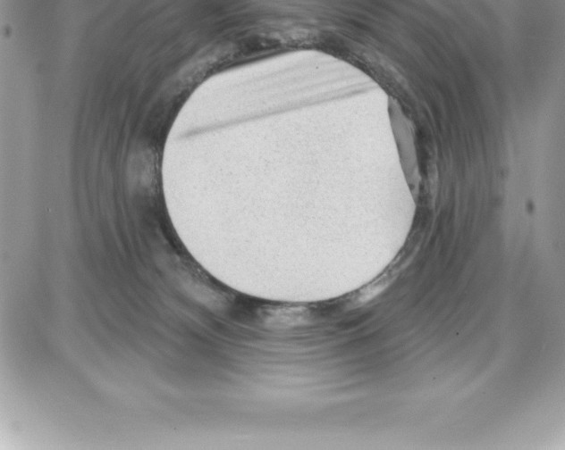 X0000087680132200706011704