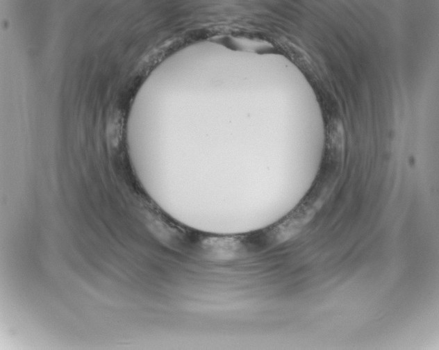 X0000087680133200706011704