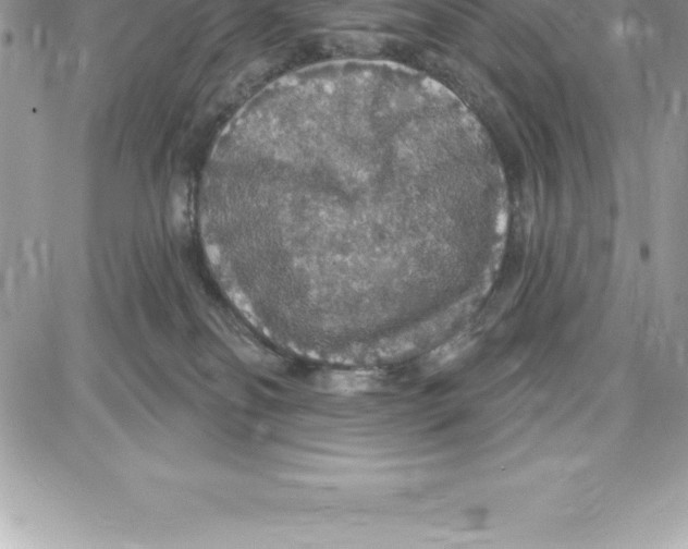 X0000087680134200706011703