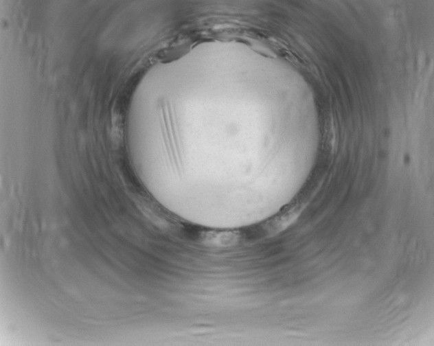 X0000087680135200706011703