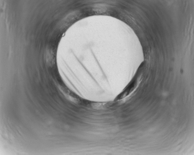 X0000087680136200706011703