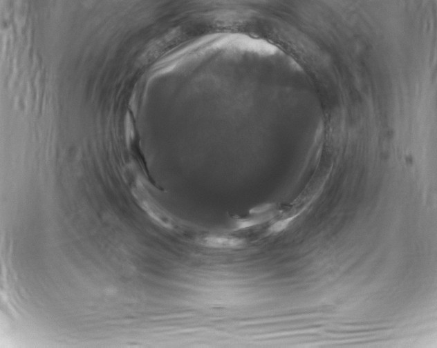 X0000087680137200706011703