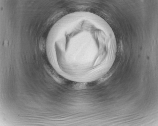 X0000087680138200706011703