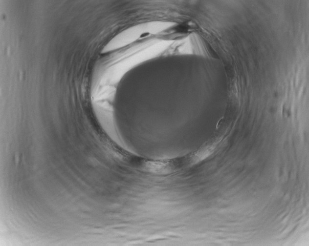 X0000087680139200706011703