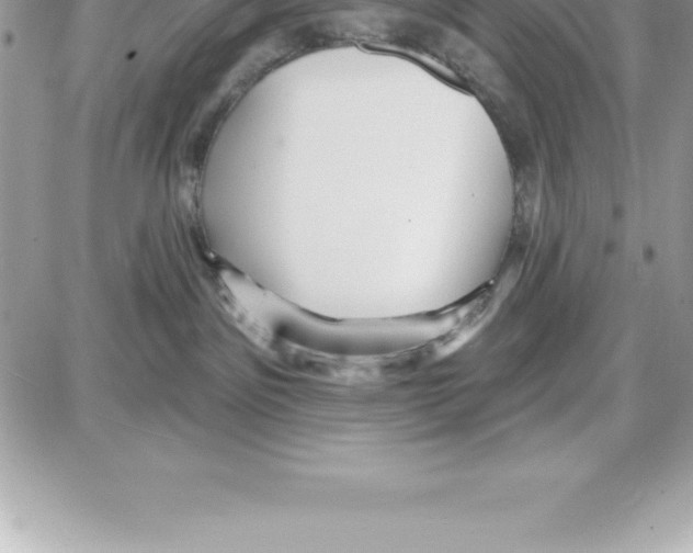 X0000087680141200706011703