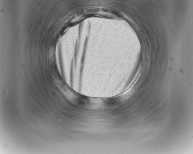 X0000087680144200706011703