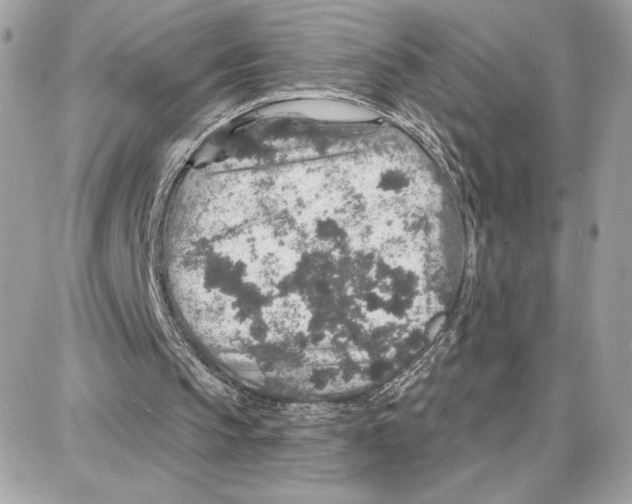 X0000087680145200706011703